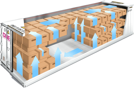 Distribución de Pallets en Contenedor Refrigerado