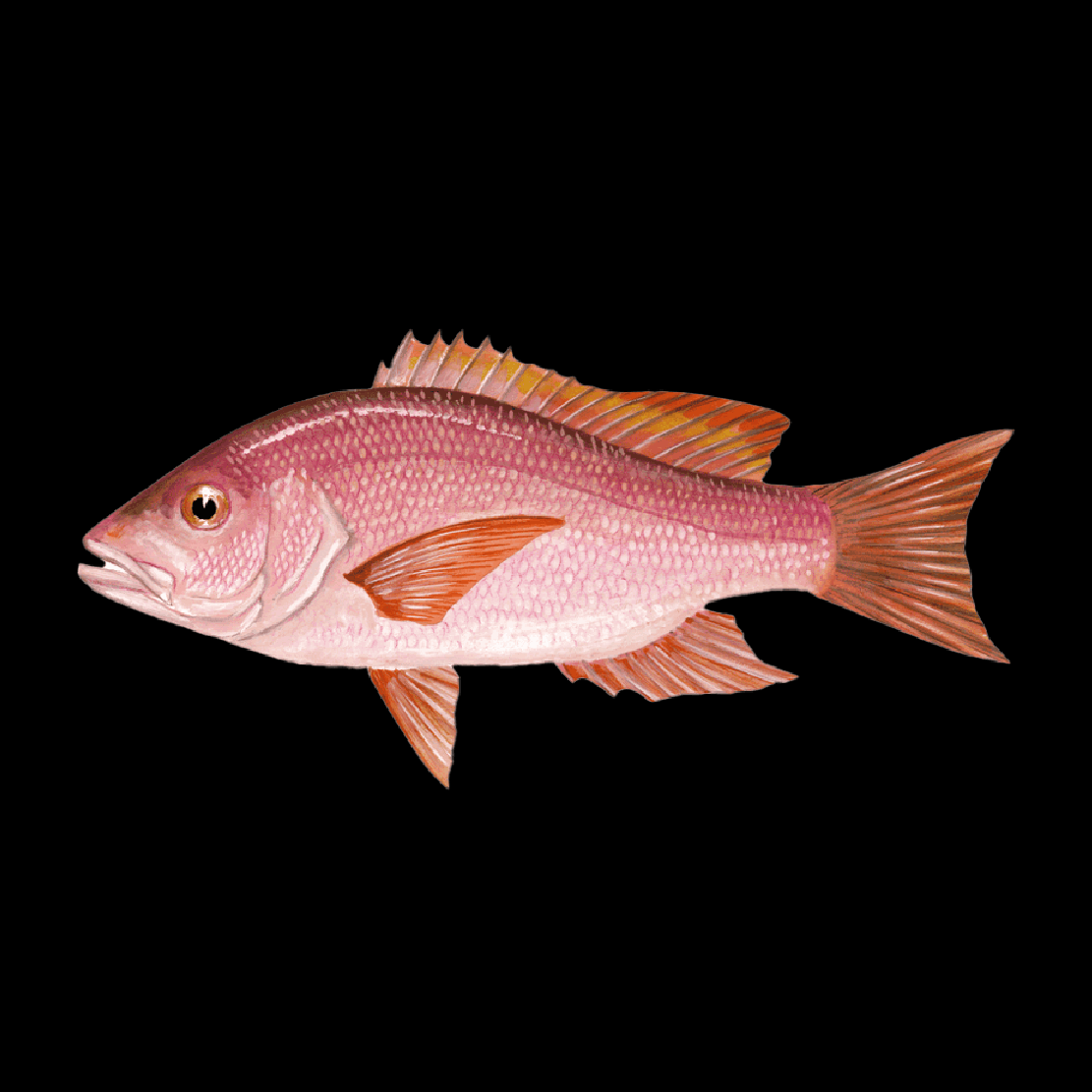 Pescados